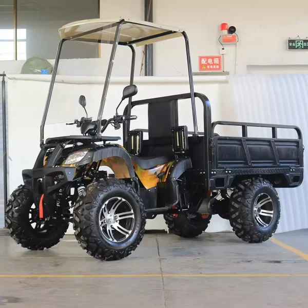 Elektro-Quad Cargo CATV-3000 Cargo 2WD Li-ion