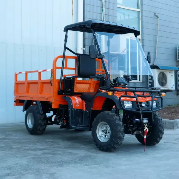 Elektro-Quad MINICAR DL50DU-2wd-1.6 (Cargo)