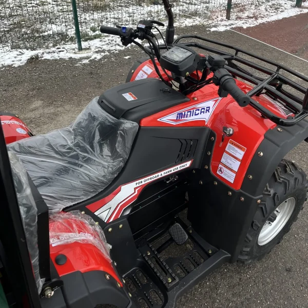 Elektro-Quad MINICAR DL50DU-2wd-1.6 (Cargo)