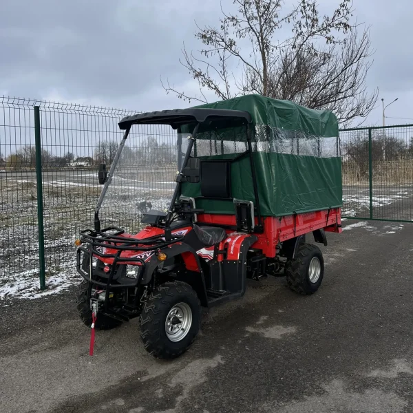 Elektro-Quad MINICAR DL50DU-2wd-1.6 (Cargo)
