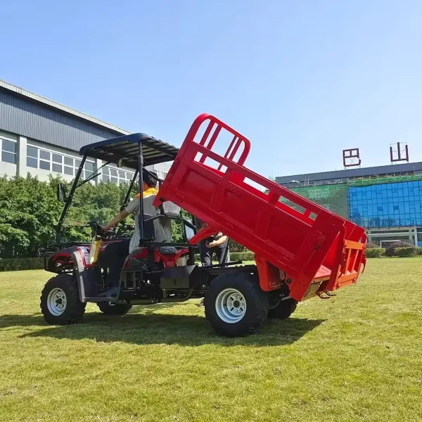 Elektro-Quad MINICAR DL50DU-2wd-1.6 (Cargo)