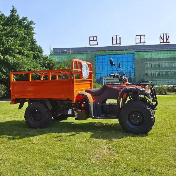 Elektro-Quad MINICAR DL50DU-2wd-1.6 (Cargo)
