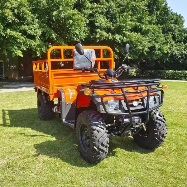 Elektro-Quad MINICAR DL50DU-2wd-1.6 (Cargo)