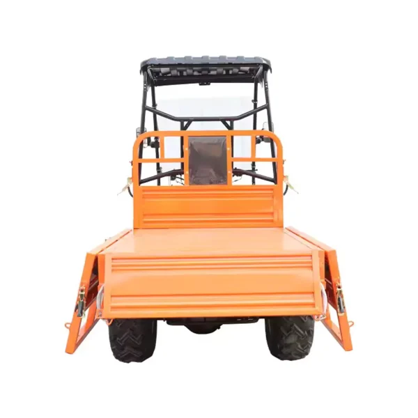 Elektro-Quad MINICAR DL50DU-2wd-1.6 (Cargo)