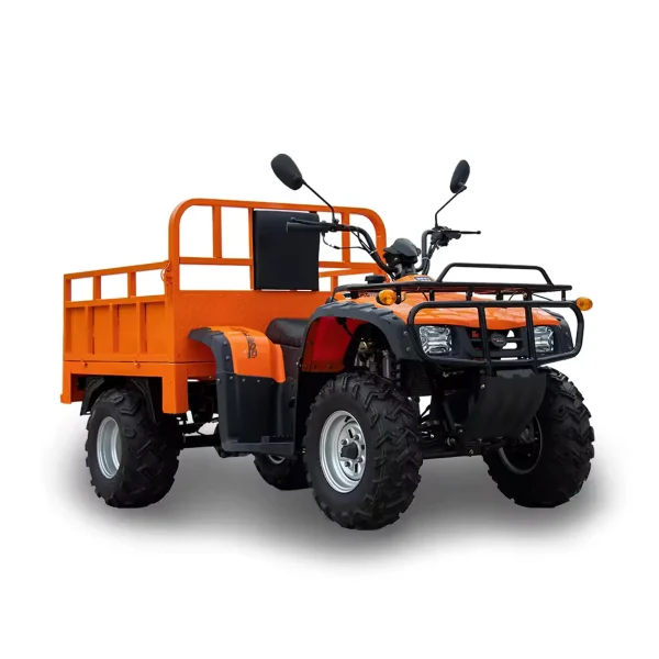 Elektro-Quad MINICAR DL50DU-2wd-1.6 (Cargo)