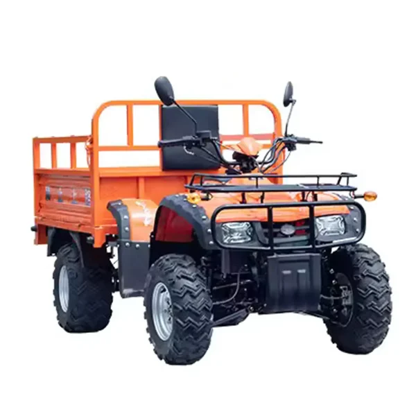Elektro-Quad MINICAR DL50DU-2wd-1.6 (Cargo)