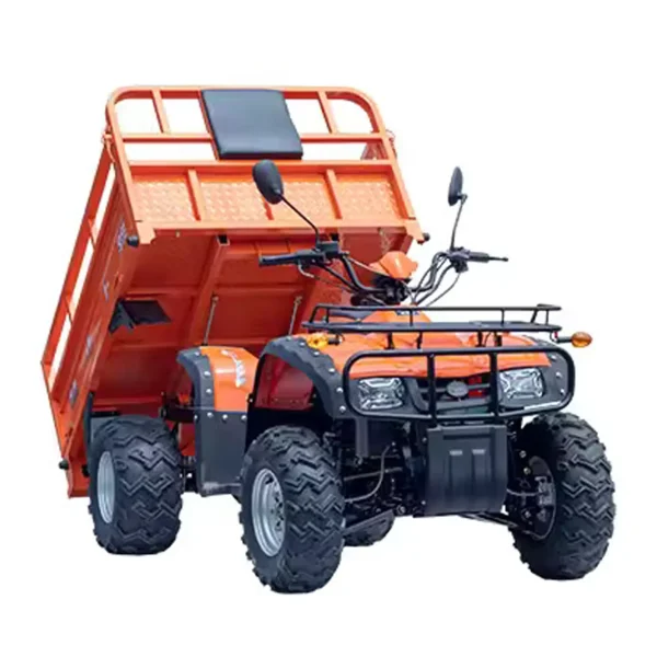Elektro-Quad MINICAR DL50DU-2wd-1.6 (Cargo)