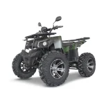 Elektro-Quad E-QUAD 3000 4WD Dual Motor
