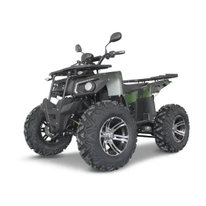 Elektro-Quad E-Quad 3000 4WD Li-Ion kaufen – Preis und Ausstattung