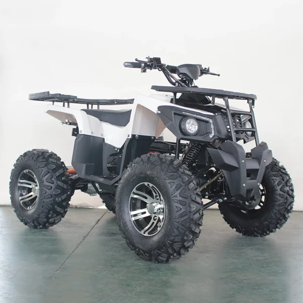 Elektro-Quad E-QUAD 3000 4WD Dual Motor