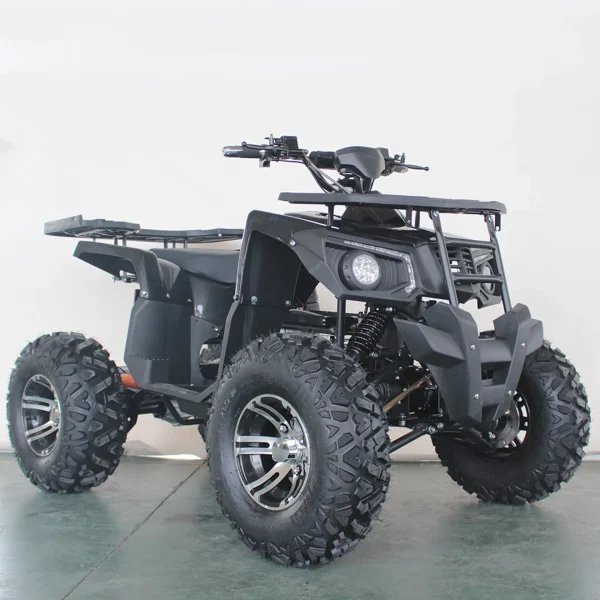 Elektro-Quad E-QUAD 3000 4WD Dual Motor