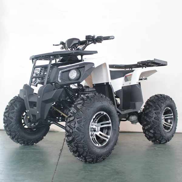 Elektro-Quad E-QUAD 3000 4WD Dual Motor