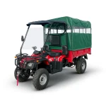 Elektro-Quad Cargo MINICAR DL50DU-2wd-1.6L Li-ion